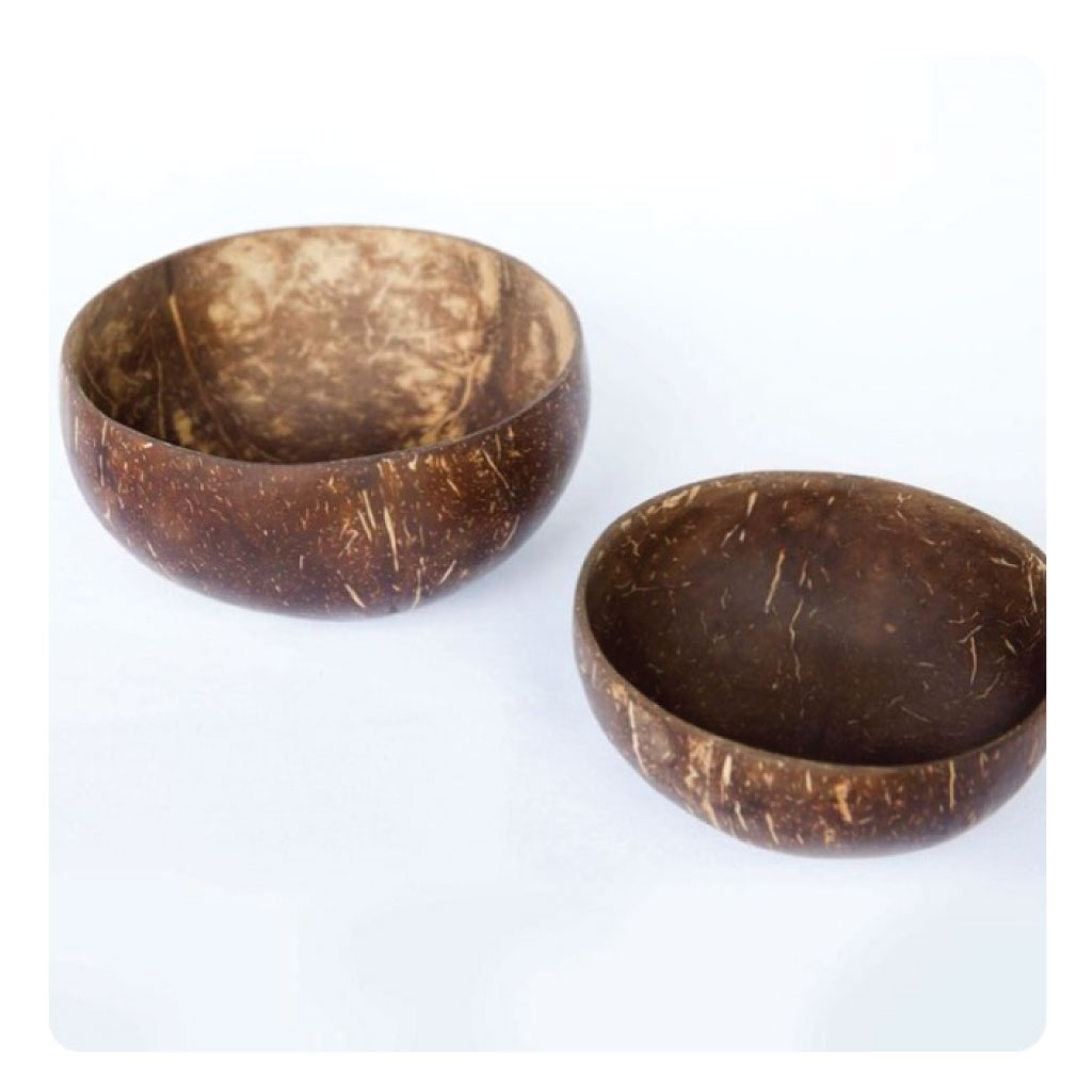 Jumbo Coconut Bowls